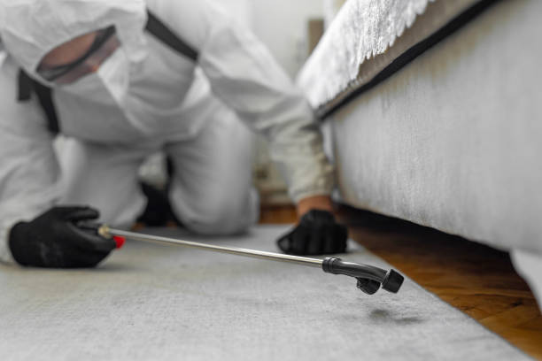 Professional Bed Bug Control technician working in Stowell, TX